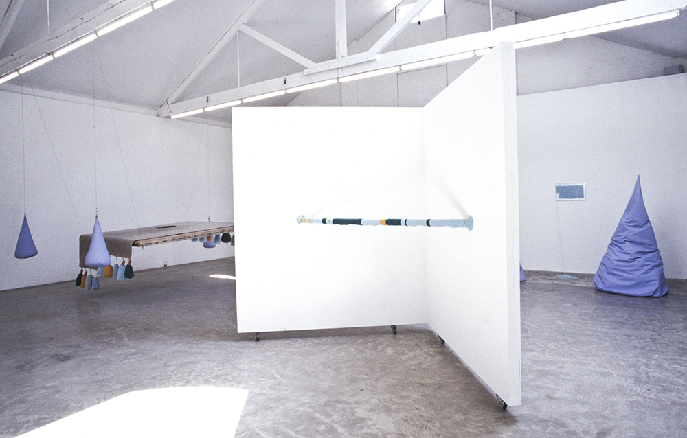 Mikala Dwyer, Recent Old Work, 1996, Sarah Cottier Gallery, Sydney