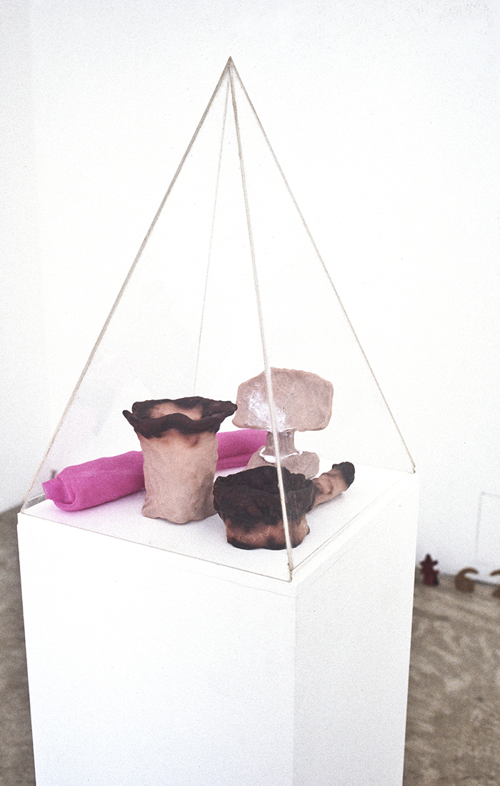 Mikala Dwyer, Hollow-ware and a few solids, 1995, Sarah Cottier Gallery, Sydney
