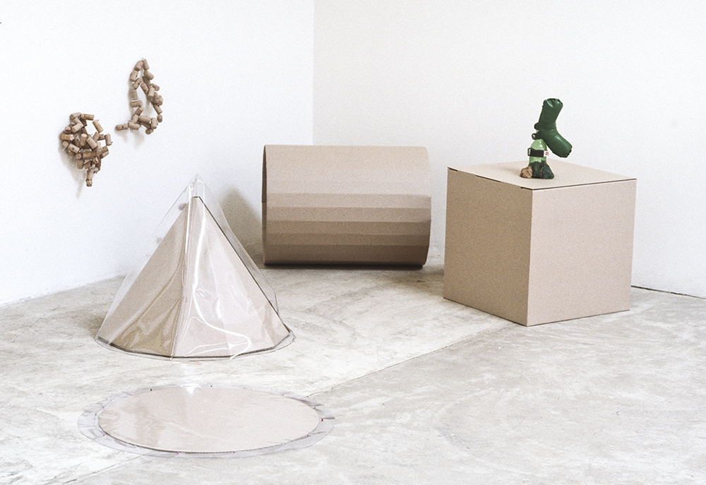 Mikala Dwyer, Hollow-ware and a few solids, 1995, Sarah Cottier Gallery, Sydney