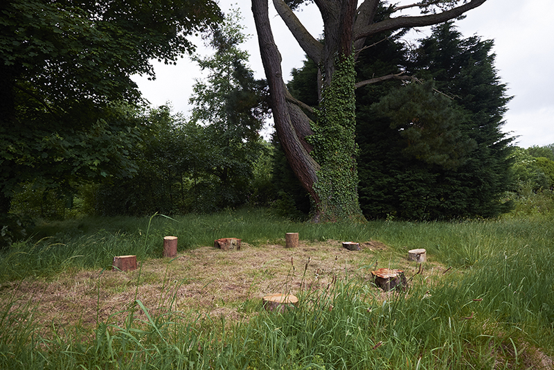 Mikala Dwyer | Magnetism, 2015, Hazelwood, Sligo, Ireland