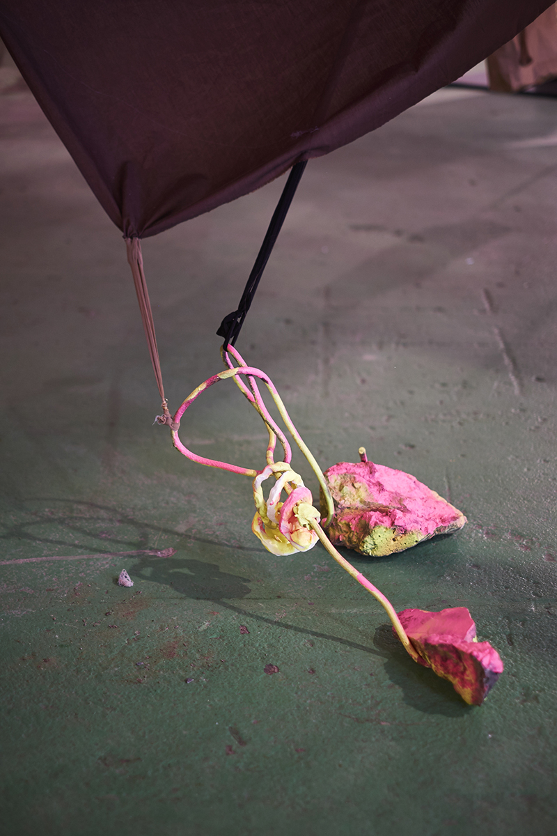 Mikala Dwyer, Square Cloud Compound | Magnetism, 2015, Hazelwood, Sligo, Ireland