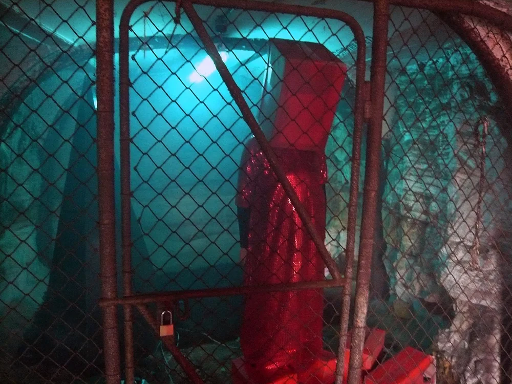 Mikala Dwyer and Justene Williams, Captain Thunderbolt's Sisters and Red Rockers, 2010 | A.R.P Artist Residency Program, Cockatoo Island, Sydney