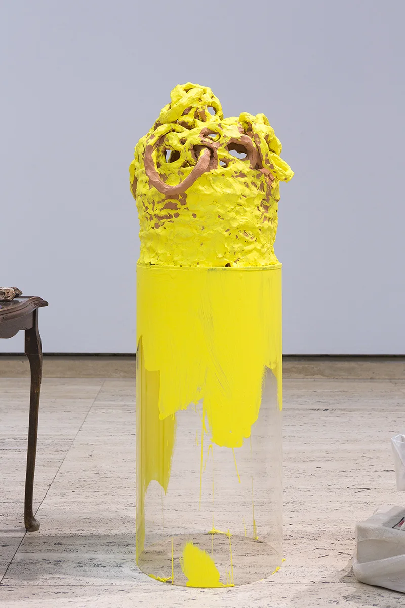 Mikala Dwyer, The Divisions and the Subtractions, 2017 | A shape of thought, 2017, Art Gallery of New South Wales, Sydney