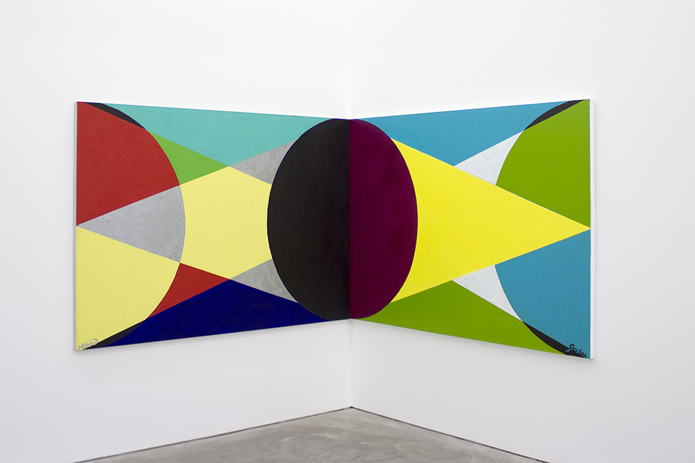 Mikala Dwyer and Matthys Gerber, Stepa Nova, 2014 | Hollowwork, 2014, Anna Schwartz Gallery, Melbourne