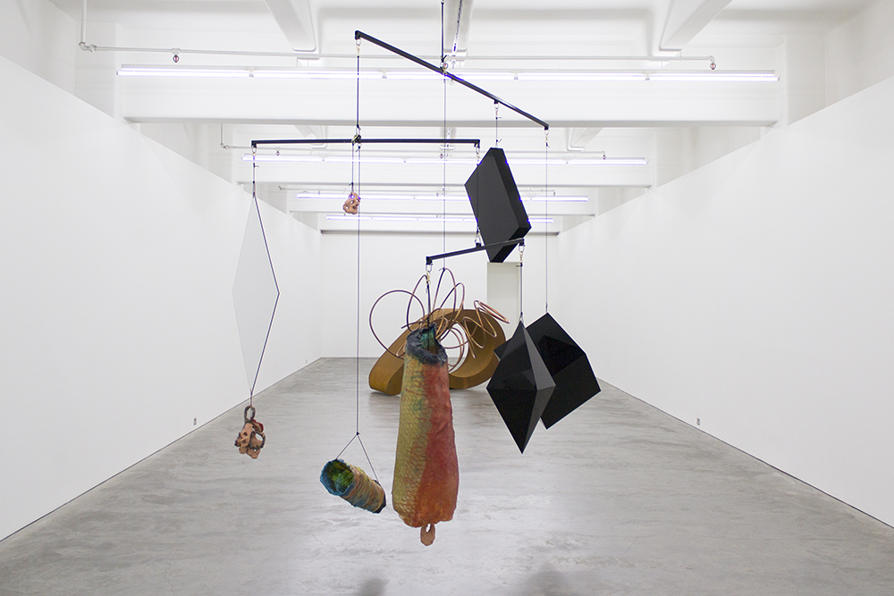 Mikala Dwyer, Hollowwork, 2014, Anna Schwartz Gallery, Melbourne