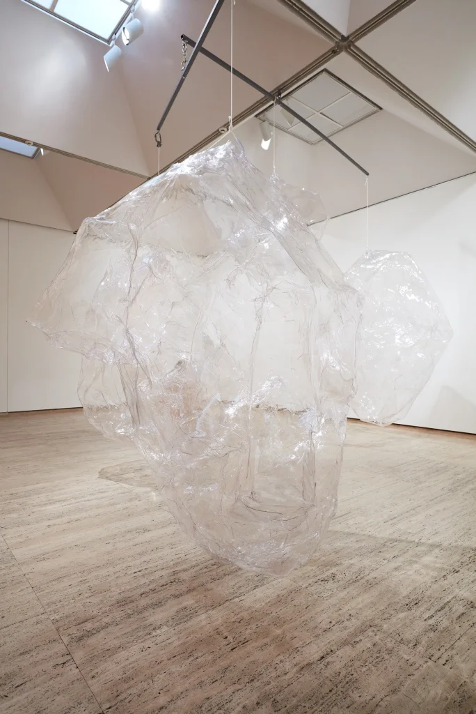 Mikala Dwyer, A shape of thought, 2017, Art Gallery of New South Wales, Sydney
