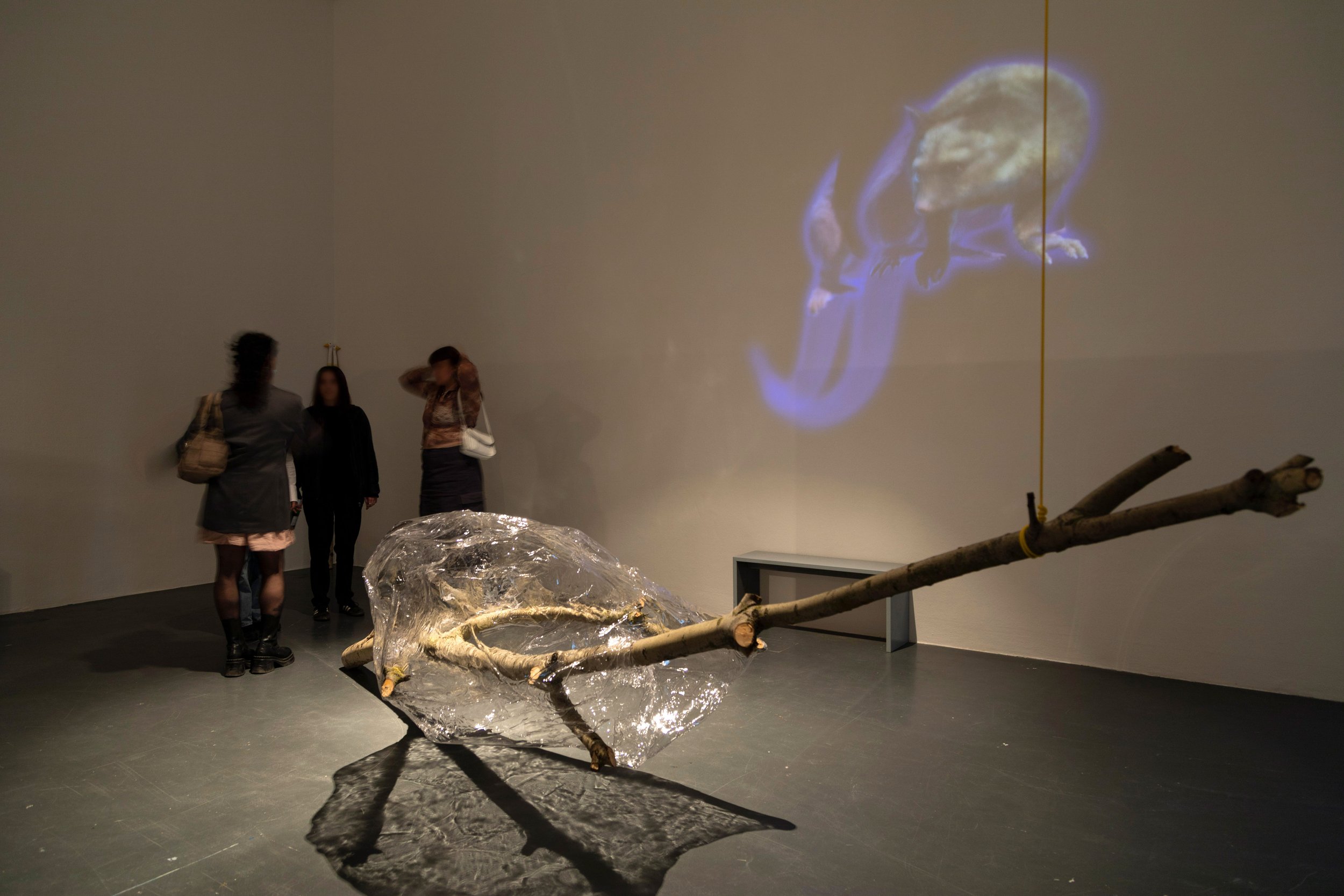 Mikala Dwyer, Spirit Zoologic, 2023 | Braunschweig University of Art, Braunschweig, Germany 