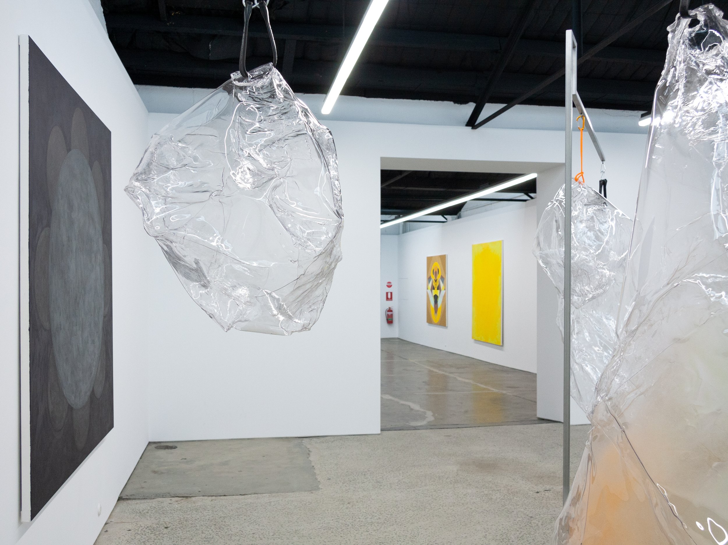 Mikala Dwyer, A Sun, A Flower, A Bee (installation view), 2022 | 1301SW, Melbourne