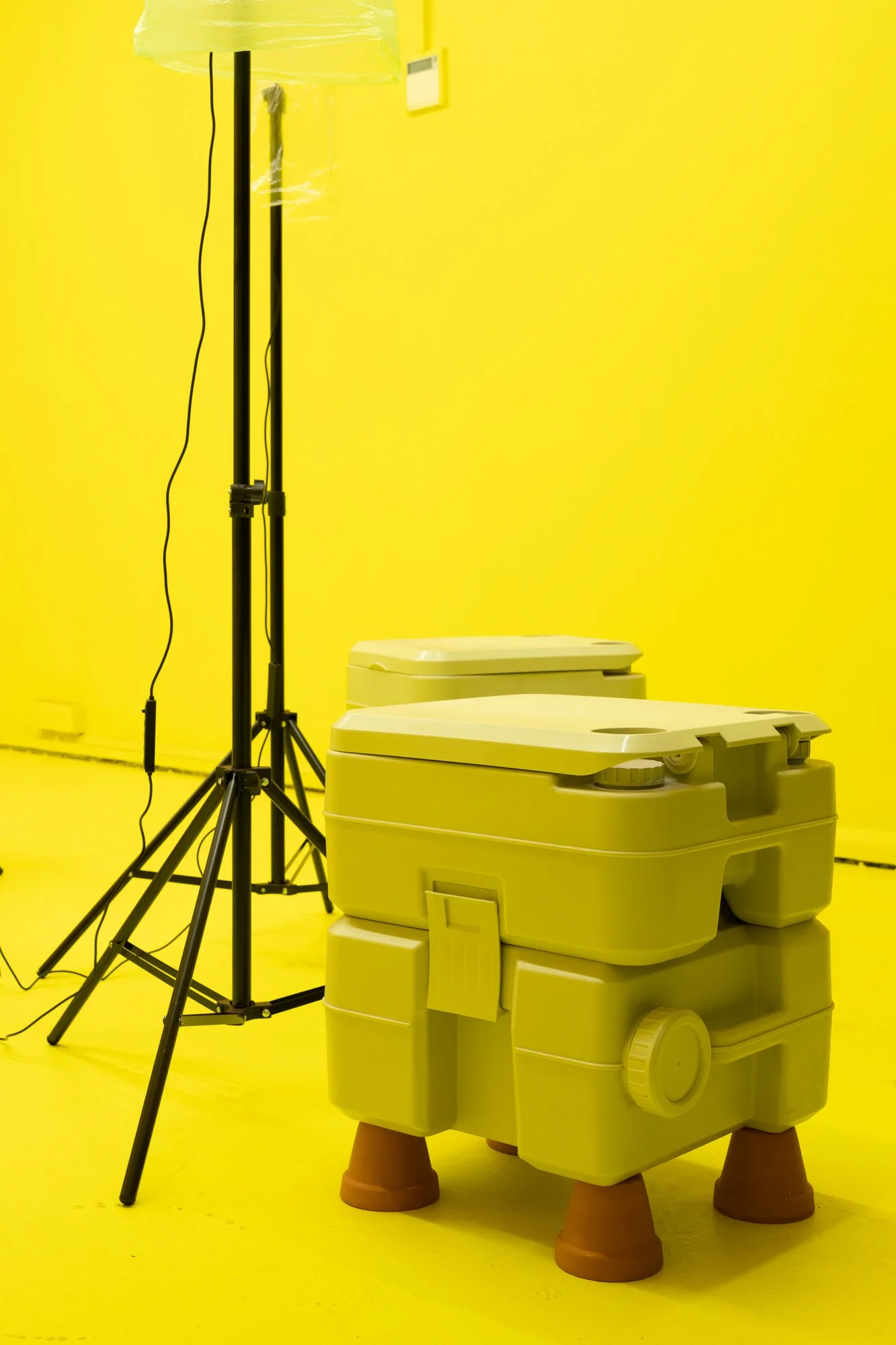  Mikala Dwyer, Shit Flowers (installation view) | Performed by Olive Corben Dwyer | Photo: Jessica Maurer&nbsp; 