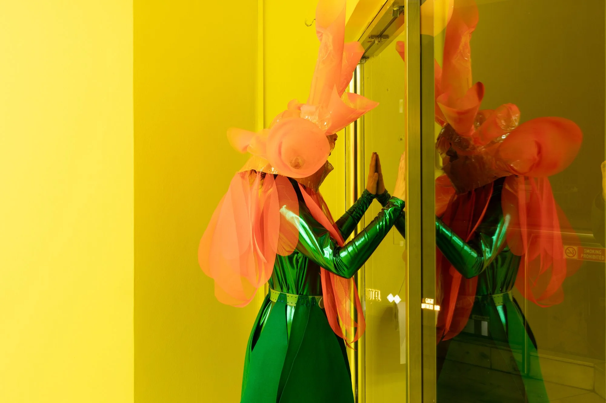 Mikala Dwyer, Shit Flowers (installation view) | Performed by Olive Corben Dwyer | Photo: Jessica Maurer 