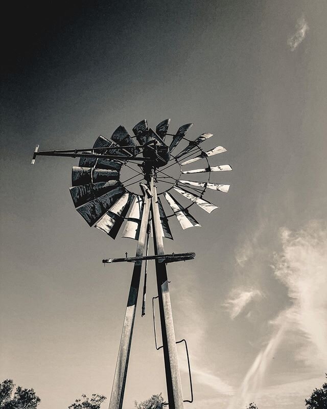 This windmill has been on our property since I can remember. It&rsquo;s been on our property since my parents can remember. Through hurricanes, tornados, floods and storms it stands. It&rsquo;s been beaten and rusted and fixed I don&rsquo;t know how 
