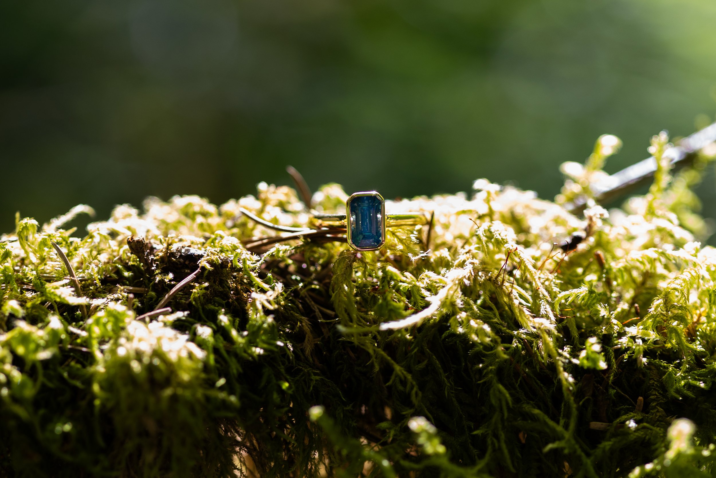 _MG_3744.jpg