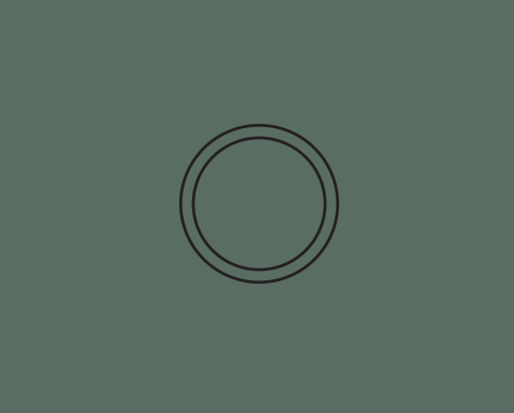 animation.gif