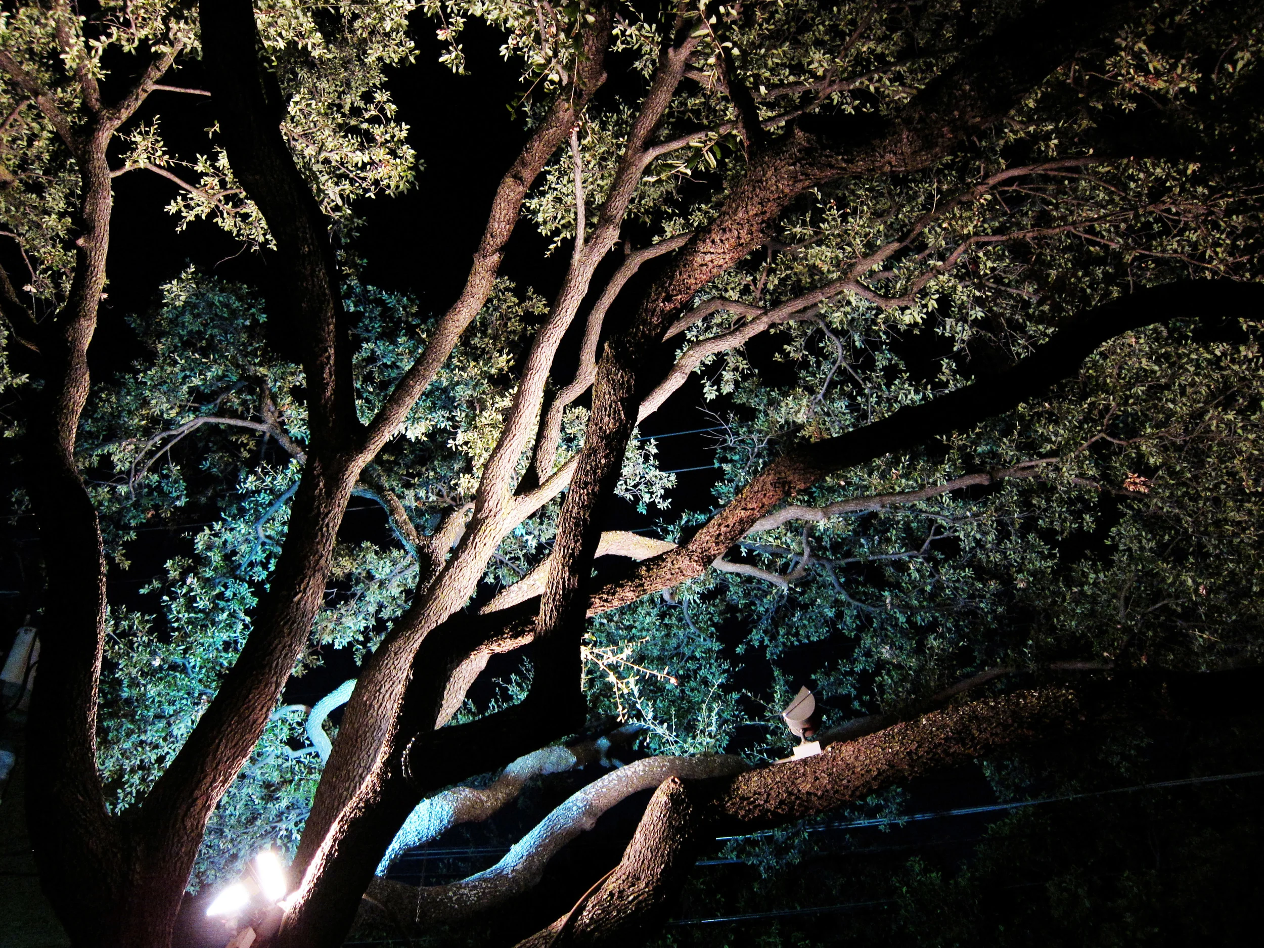 Untitled, 2012