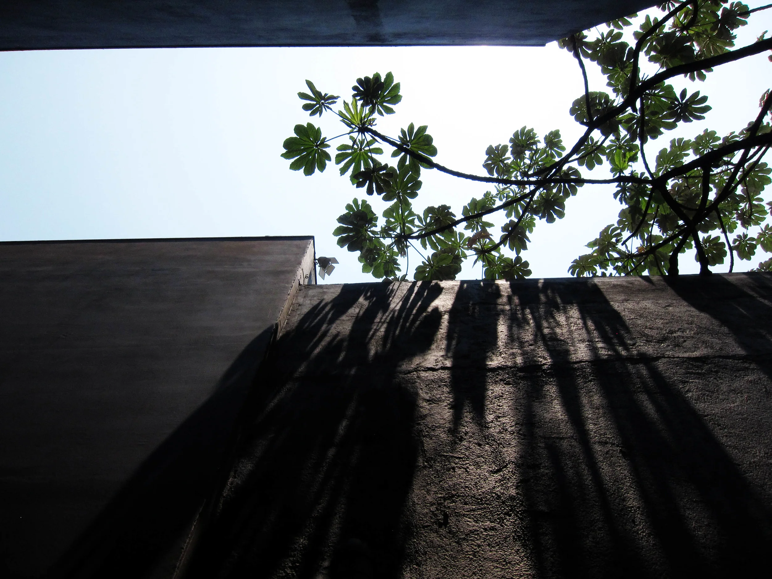 Untitled, 2012