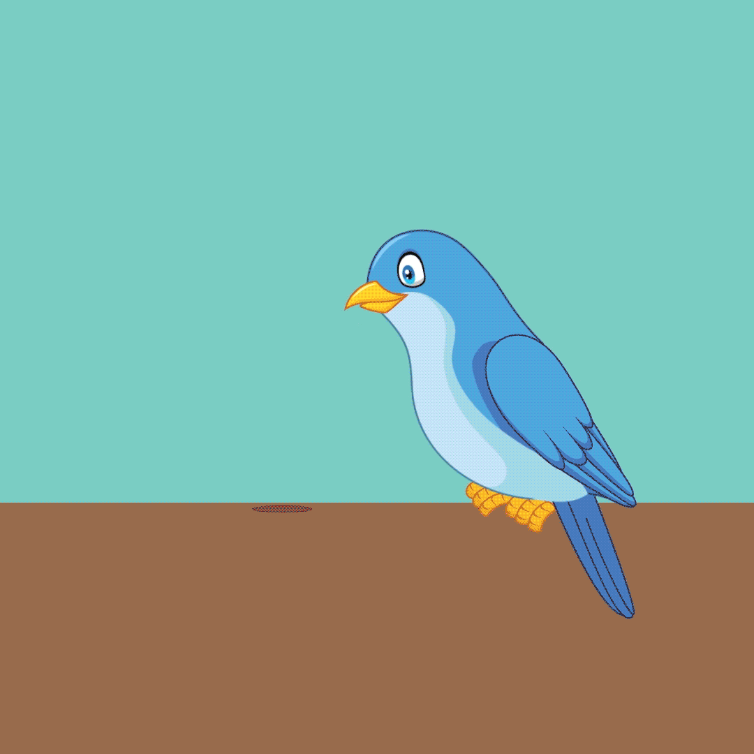 Bird_Mouse-190716_v02.gif