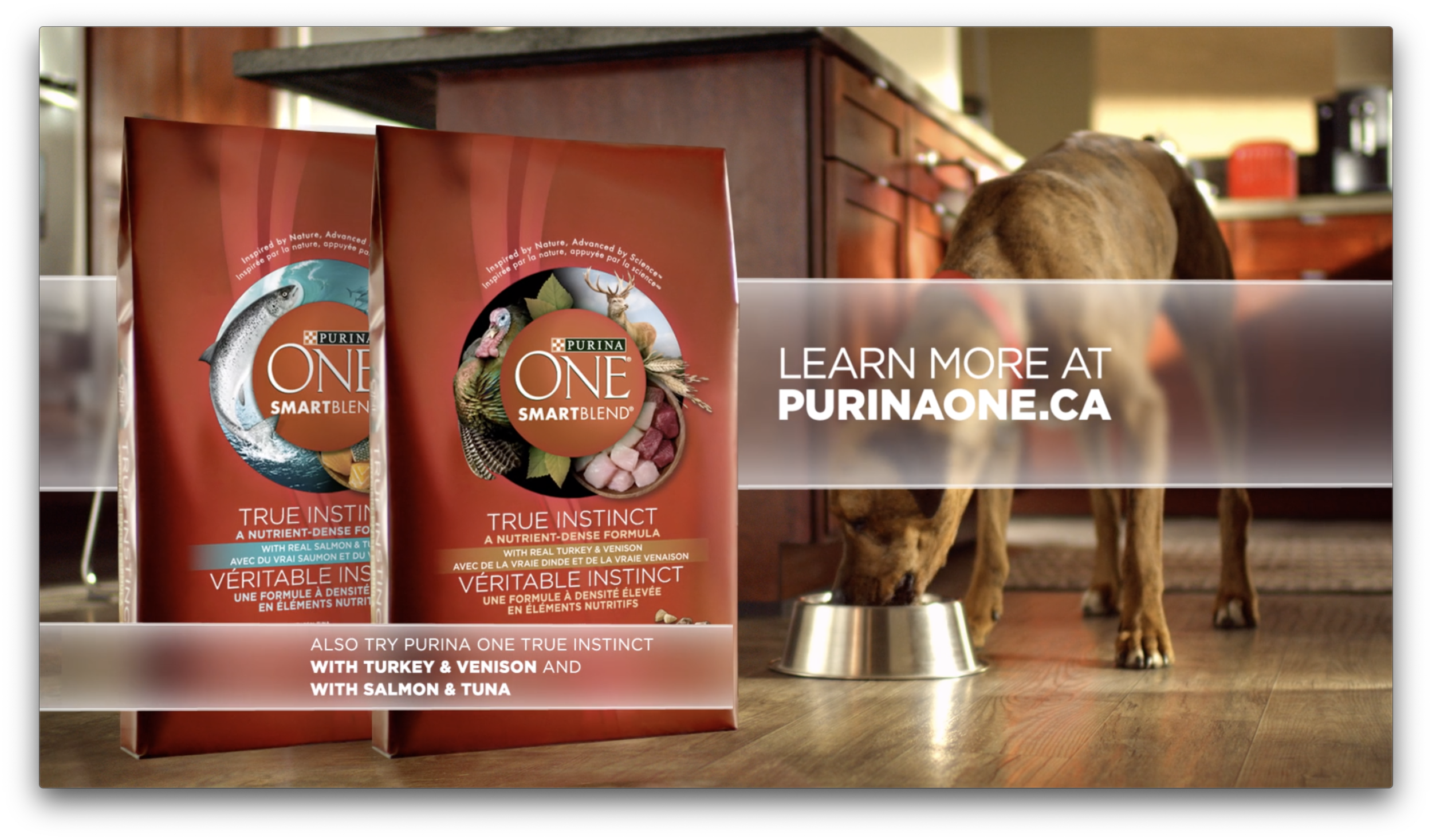 Printable Coupons Purina One Coupon Walmart Dry Dog Food Purina