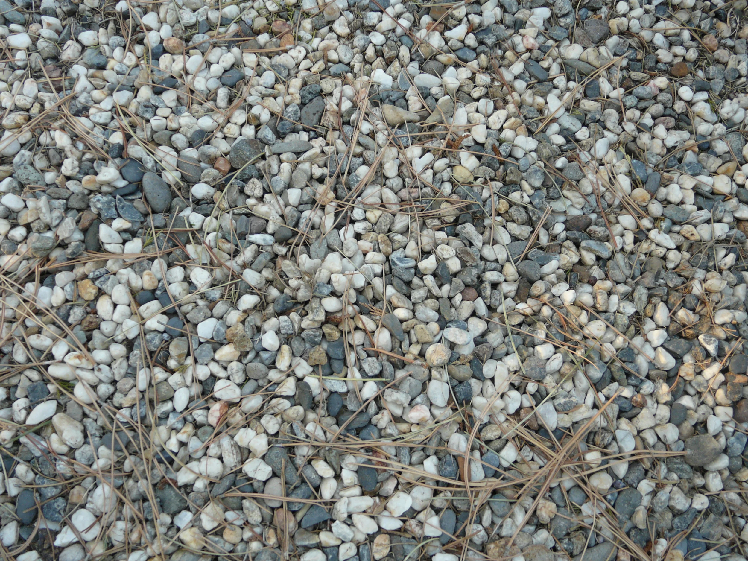 Pebbles.JPG