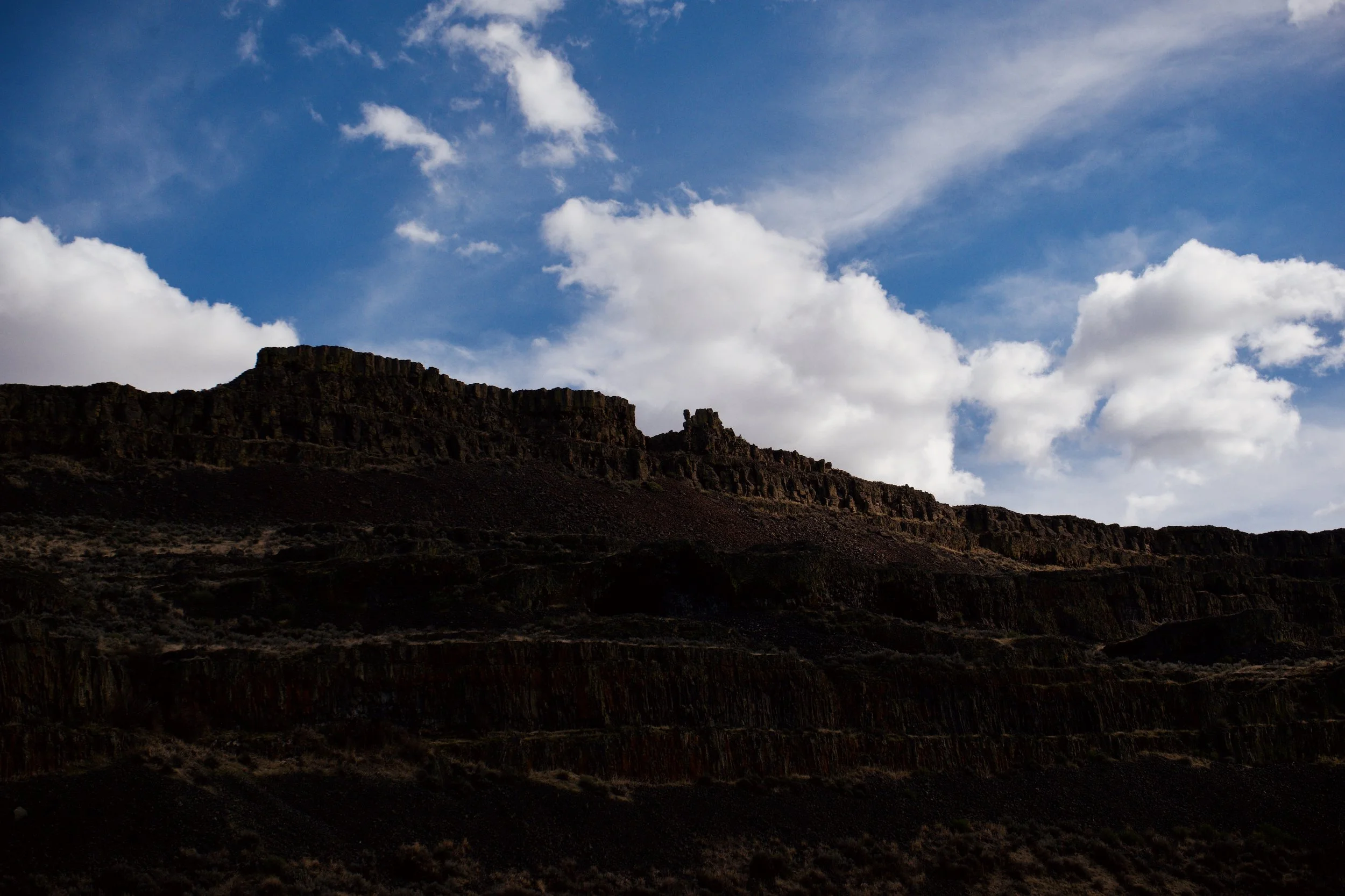3632BFE9-BC56-446F-B0EC-7C6D81790B18.jpeg