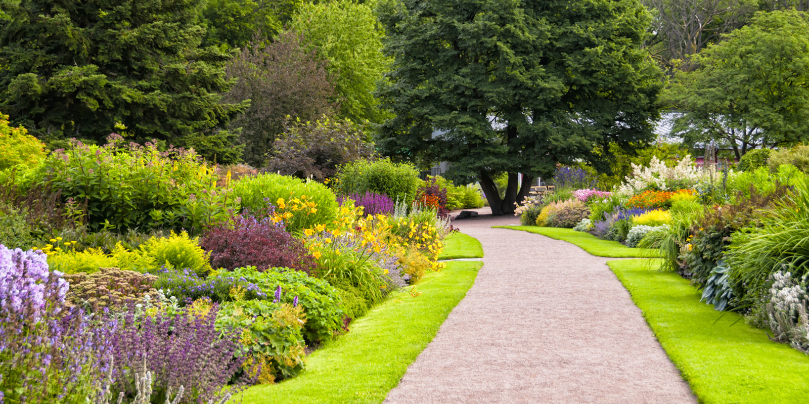 We understand the importance of a well-designed and a beautifully maintained landscape.&nbsp;