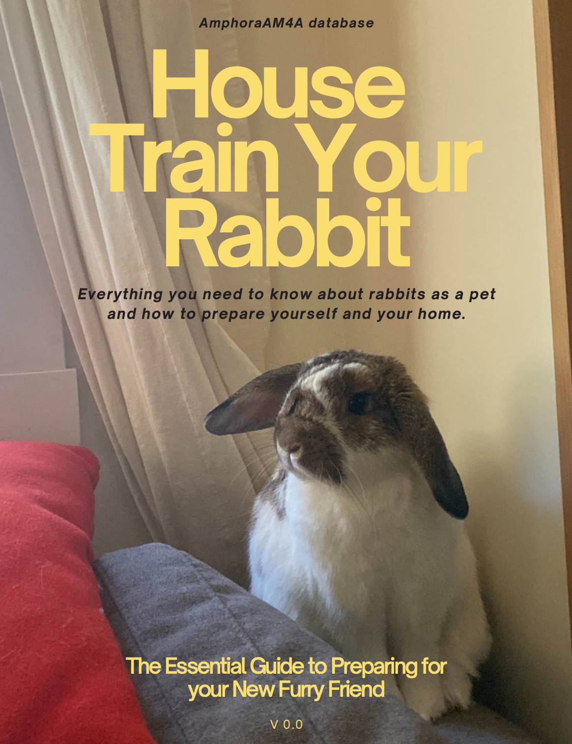 House-TrainYourRabbit-V0.0-Cover.png