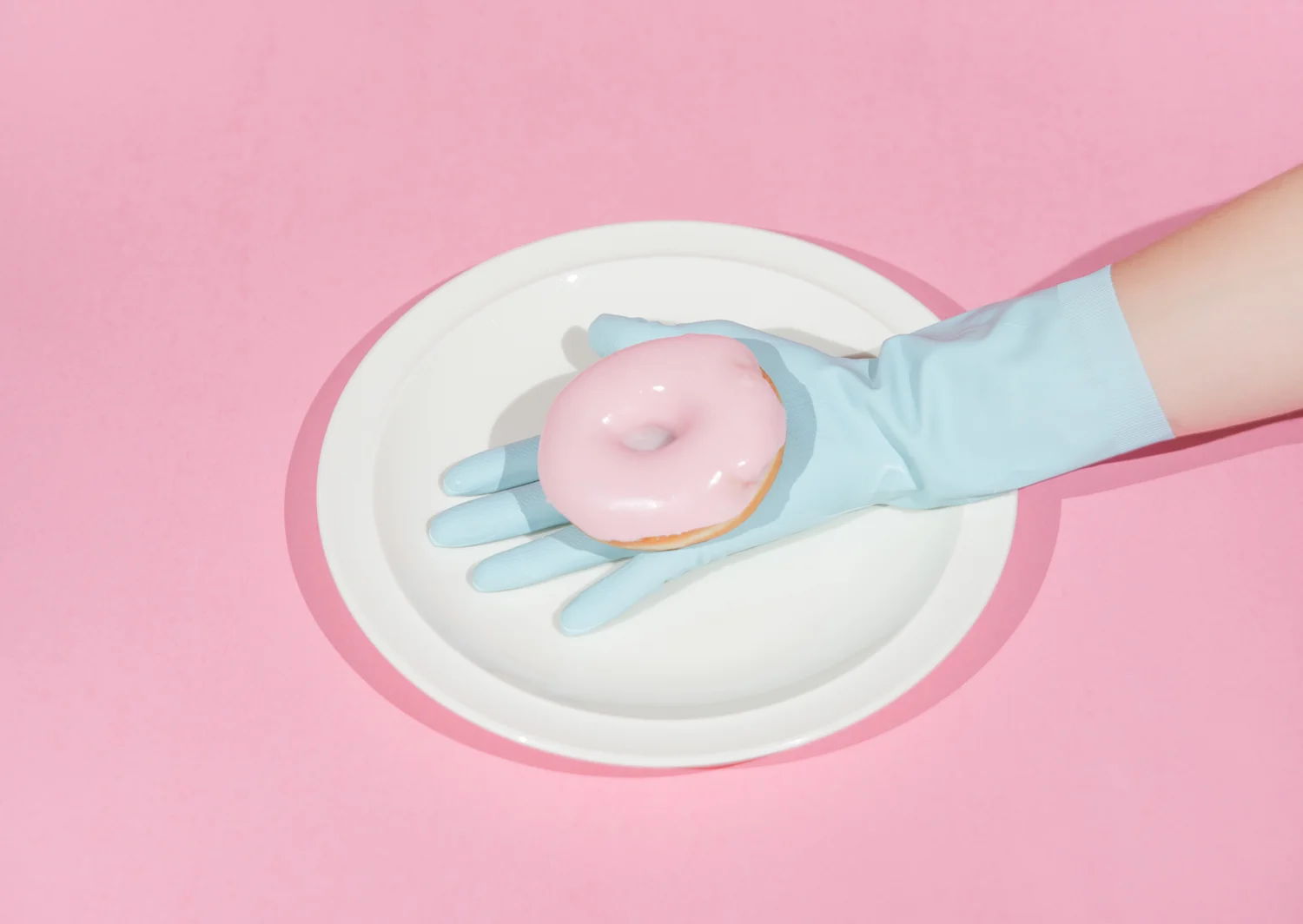 Doughnut+Please%2C+2015.jpg