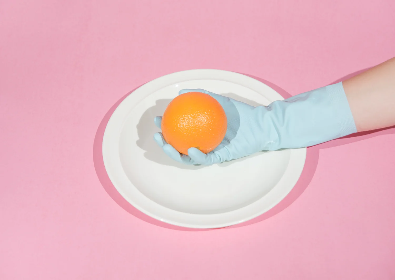 Orange+Please%2C+2015.jpg