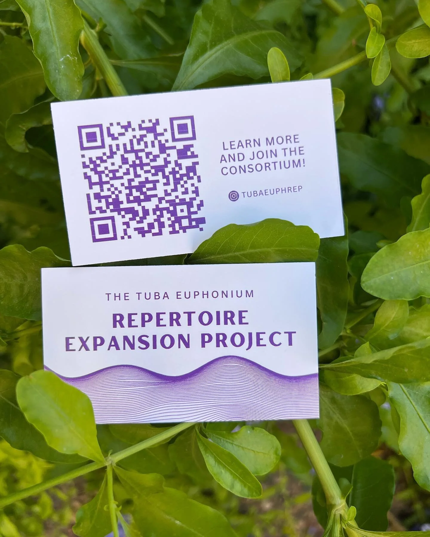REP in the wild!

If you are at ITEC 2023 - find Genevieve to ask about our consortium and learn how to join!