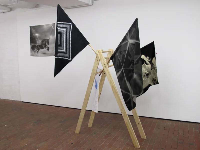DOLPHIN UNICORN ORCHID AWESOME AFGHAN KAFTAN SATURN & URANUS. 2009. Installation view, OMFG!
