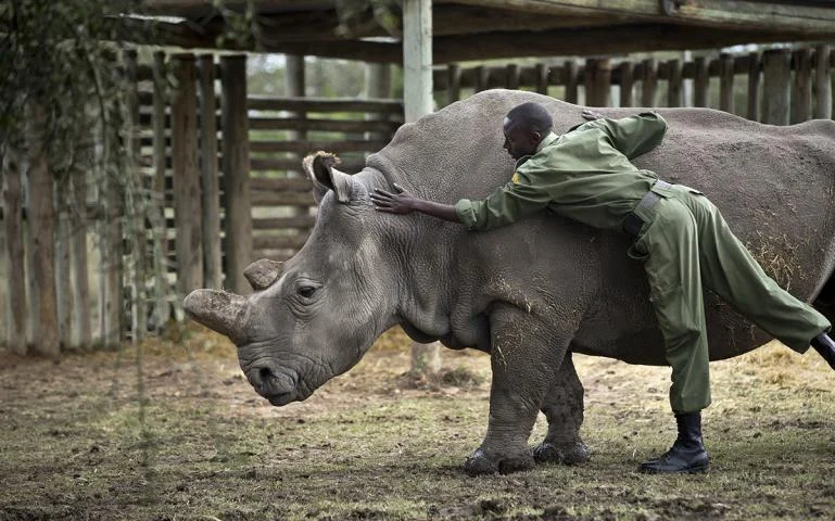 How Far Do We Go to Save a Species?