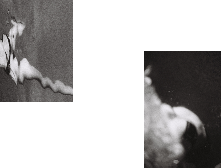 body 2.png