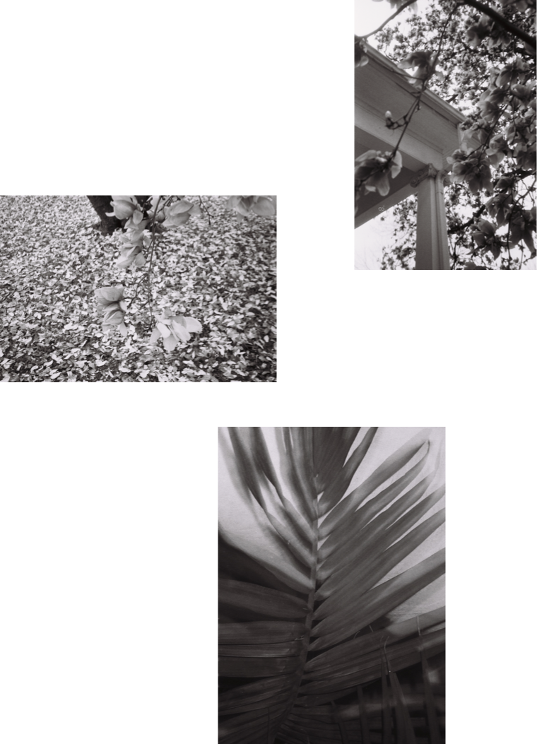 q7.png