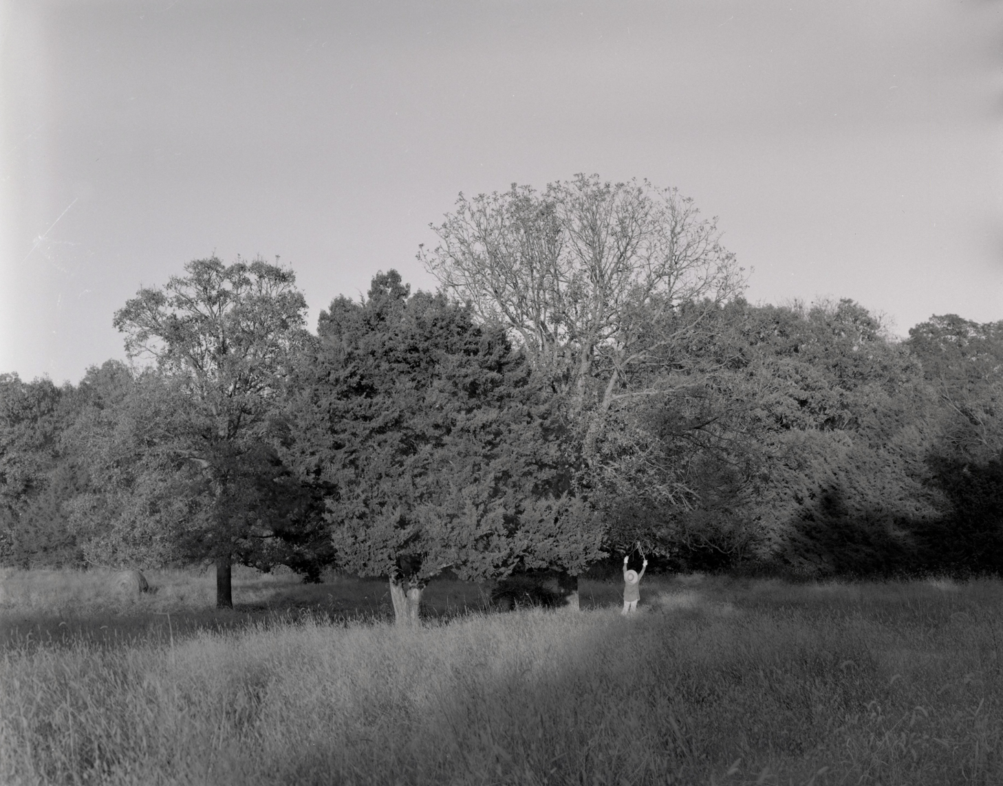 largeformat cover.png