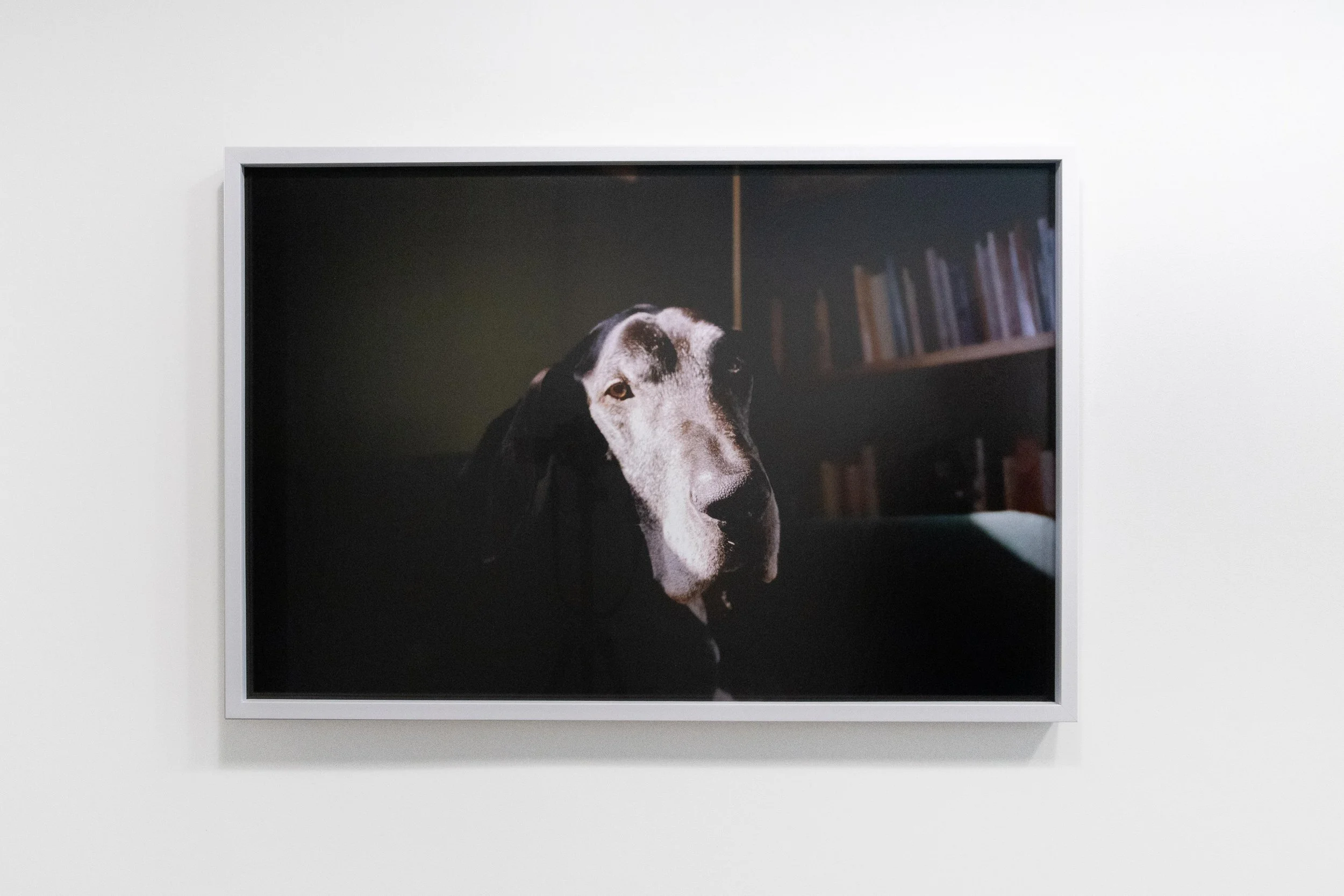 h_Exhibition_062026-1.jpg