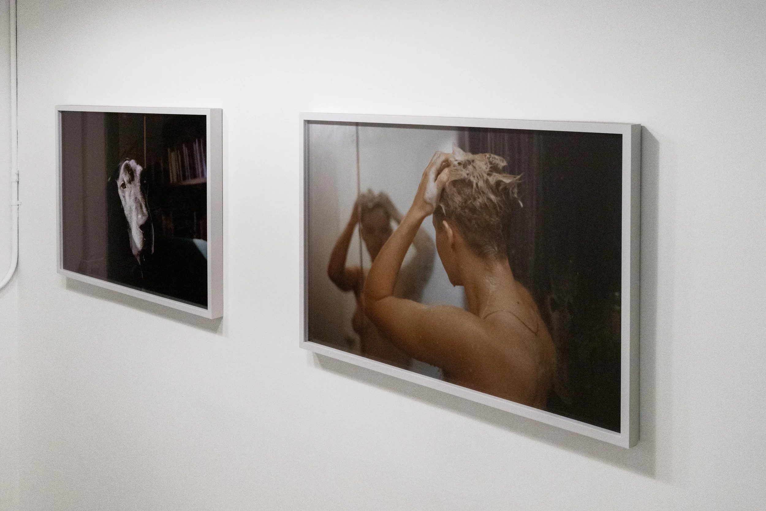h_Exhibition_062026-8.jpg