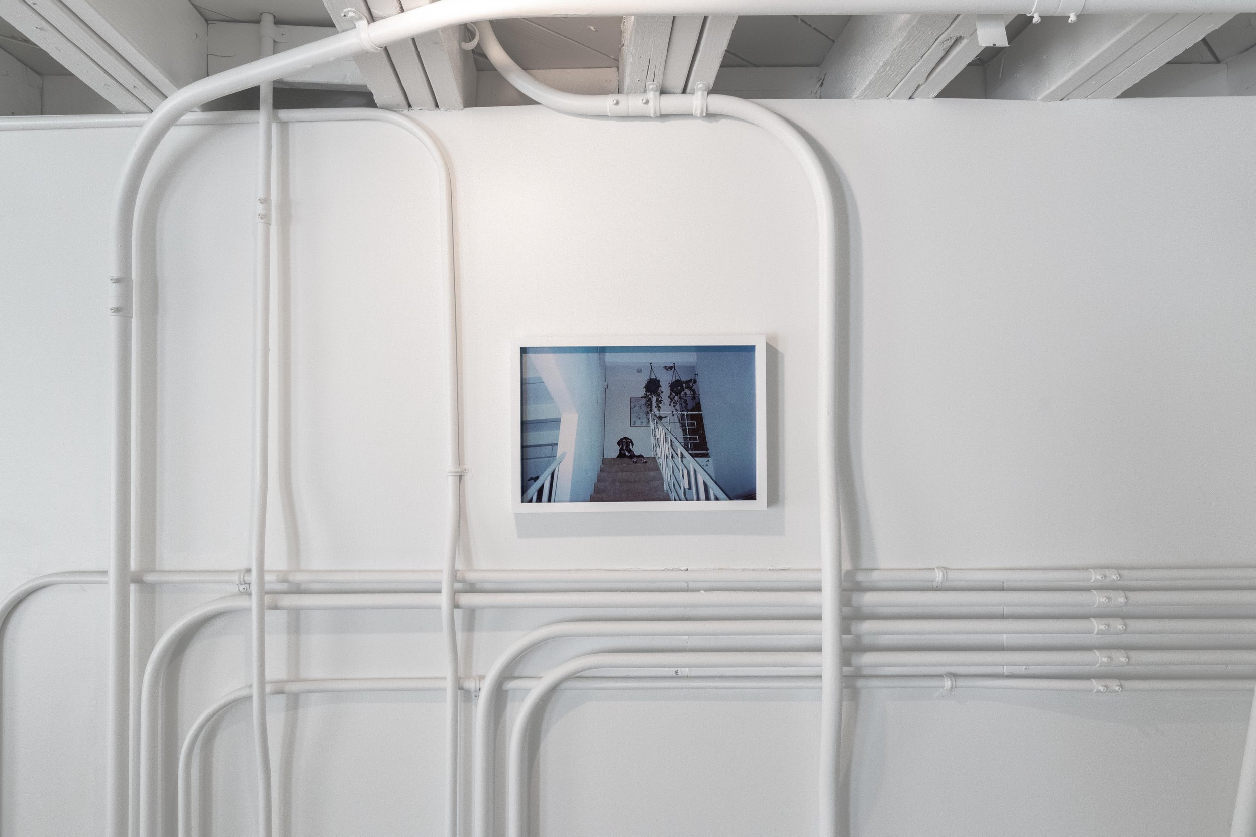 h_Exhibition_062026-24.jpg