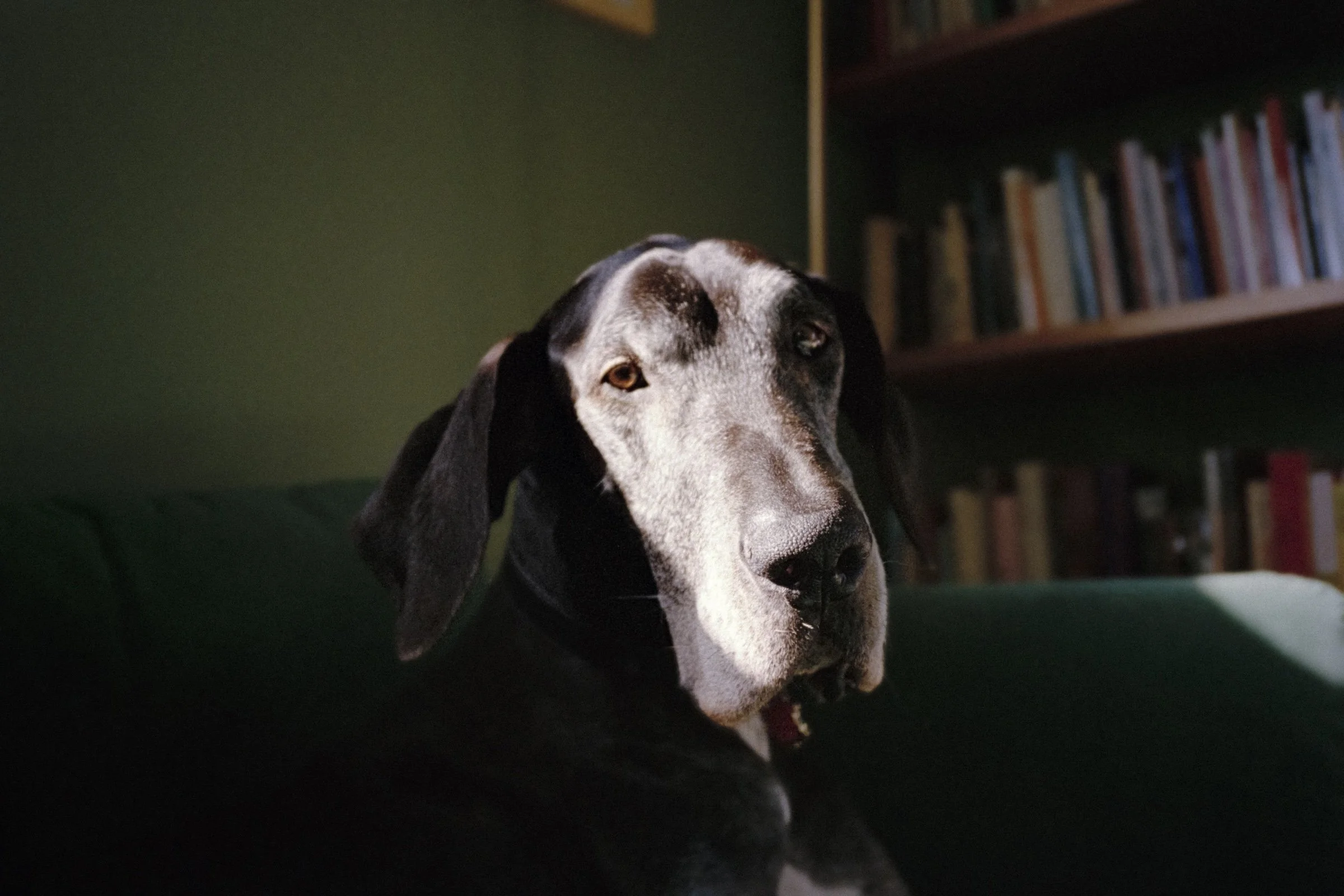 Molly Mulcahy Ayers Rubin_Hannah Rubin_2026.jpg