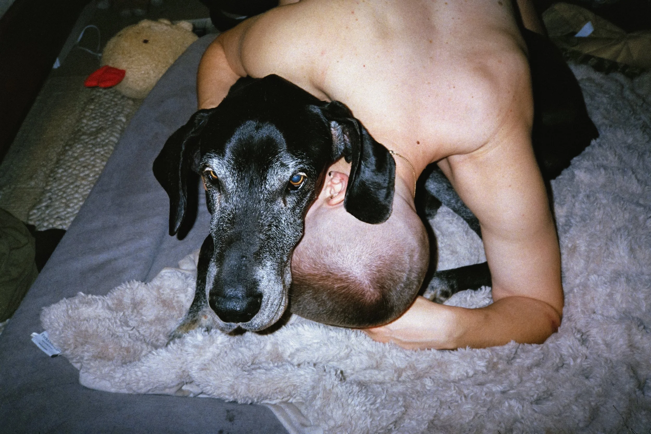 Two Heads_Hannah Rubin_2026.jpg