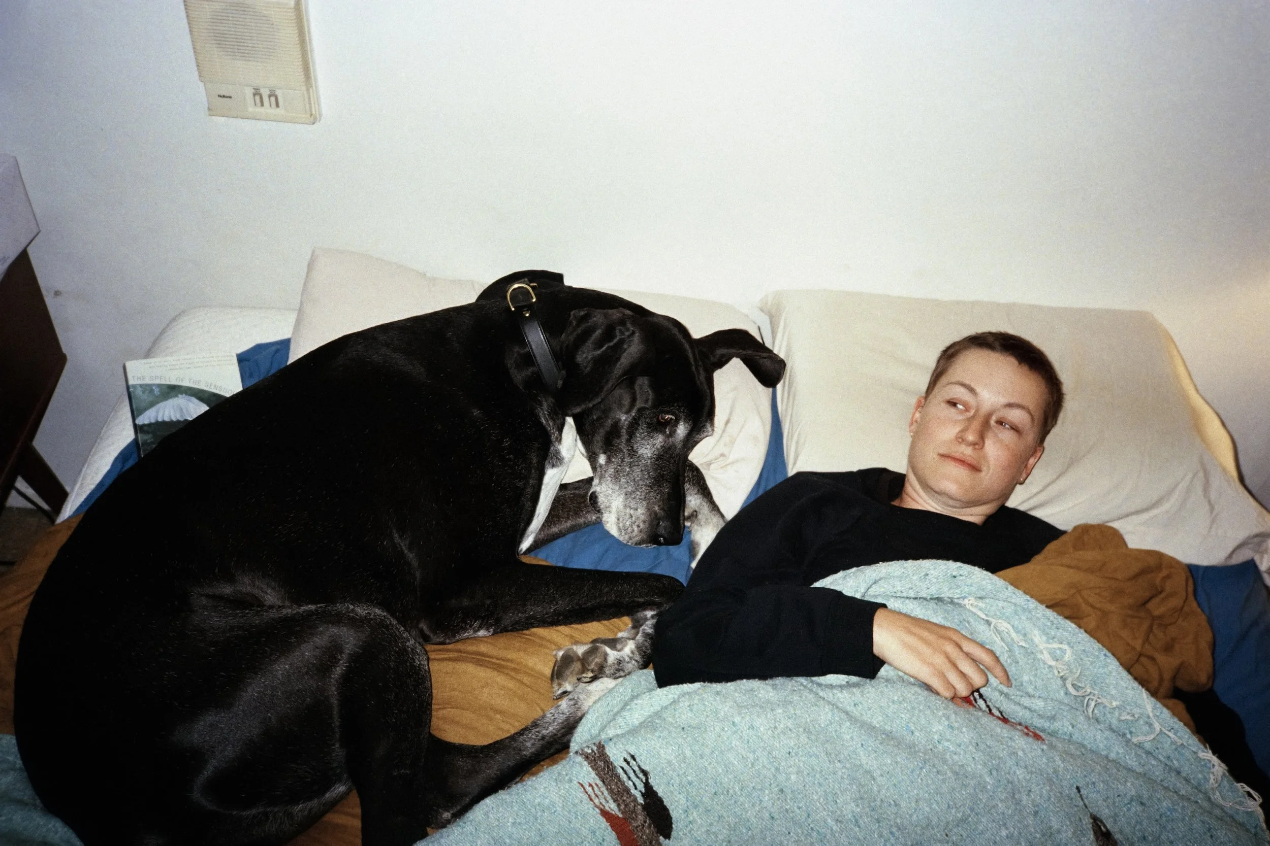 The Odd Couple_Hannah Rubin_2026.jpg