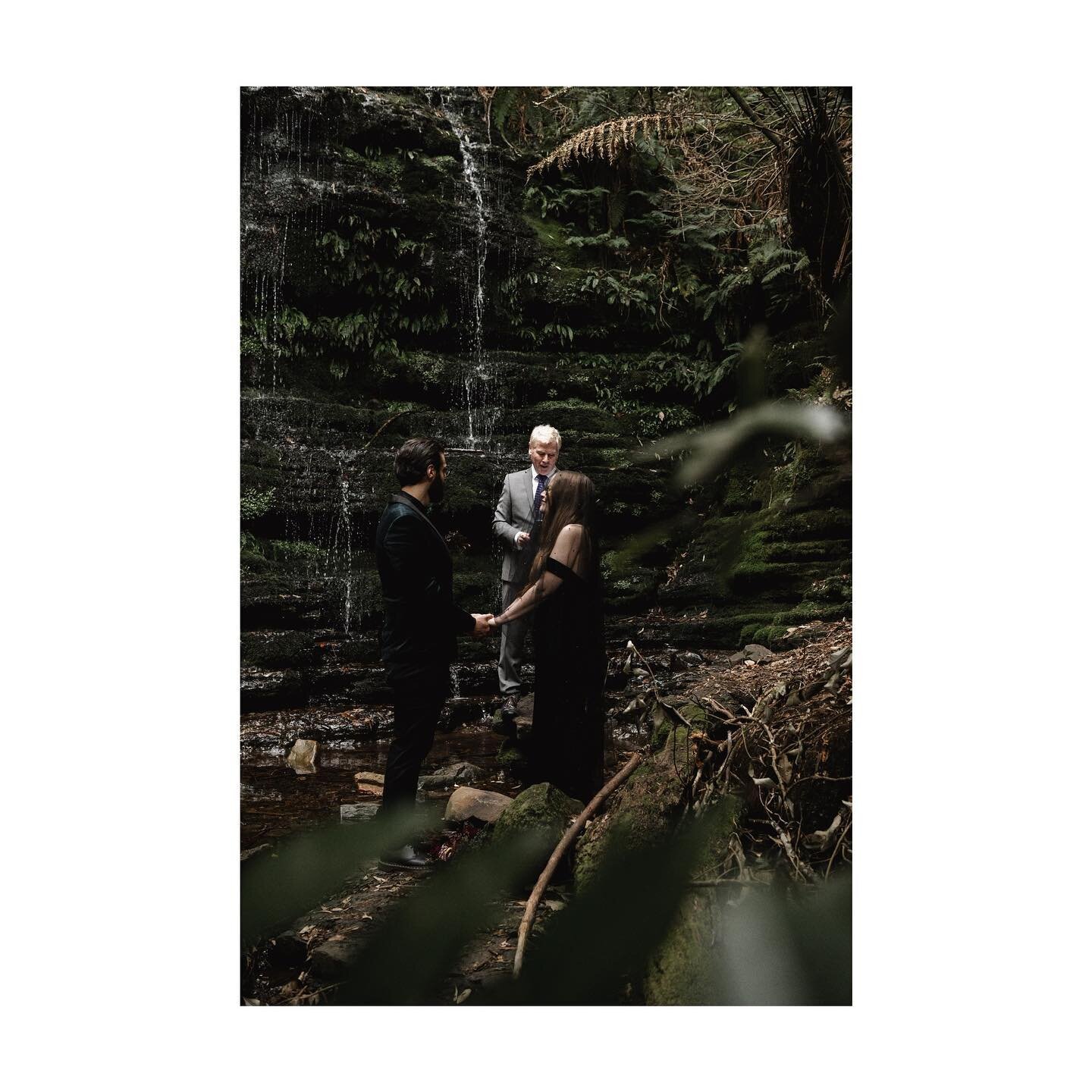 One year ago today I had the absolute pleasure of marrying @cameron_quinn_ and @zoejquinn at Myrtle Gully Falls in the foothills of kunanyi/Mt Wellington. A beautiful couple, beautiful location and beautiful mood. 🌿📷 @lu.and.lo_
📍South Hobart, Tas