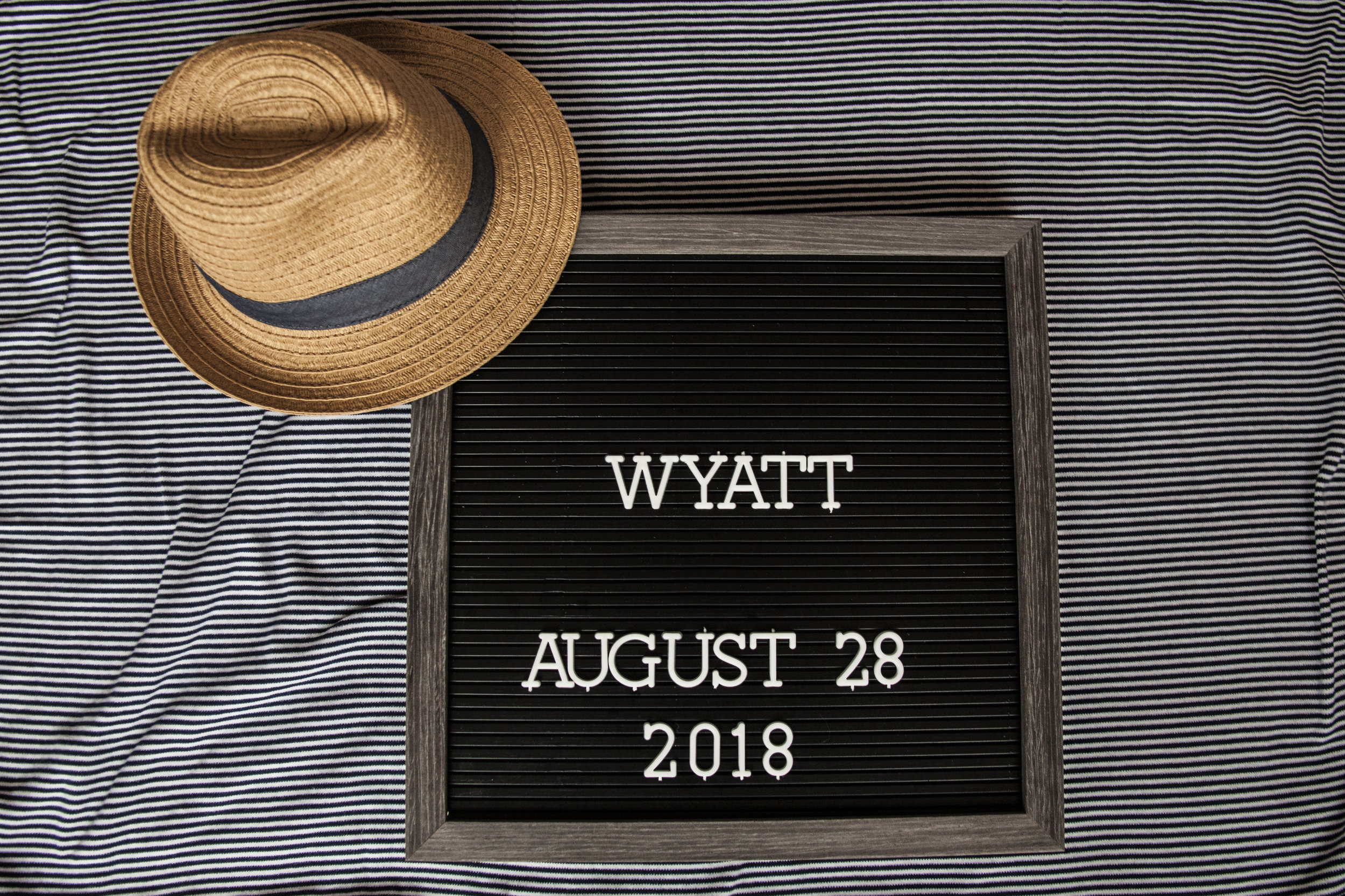 wyatt 1.jpg