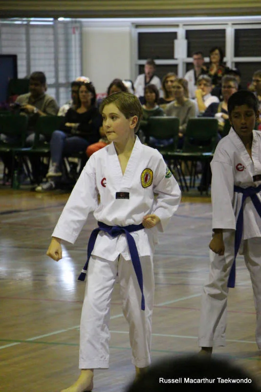 0161-img_3438.jpg