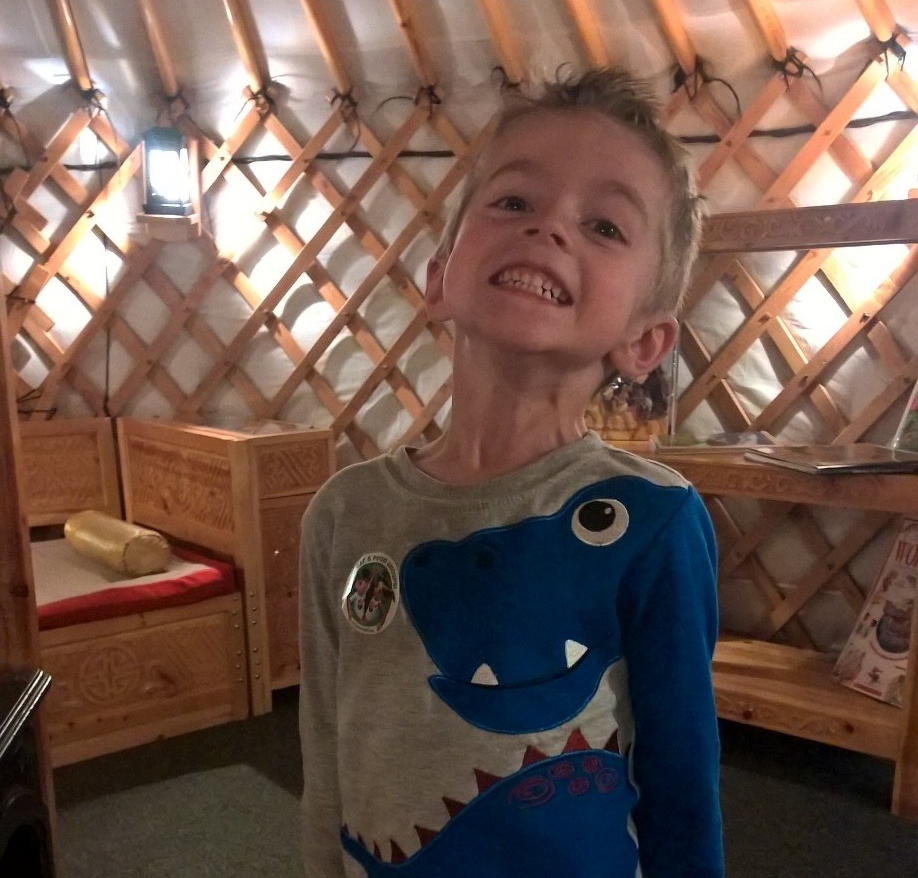 We Loved the Little House from Around the World!