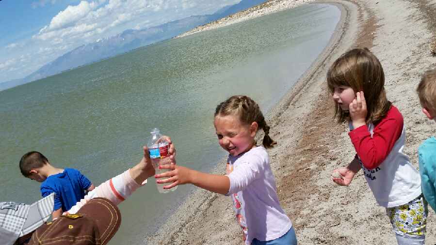 Looking at Brine Shrimp in a Bottle