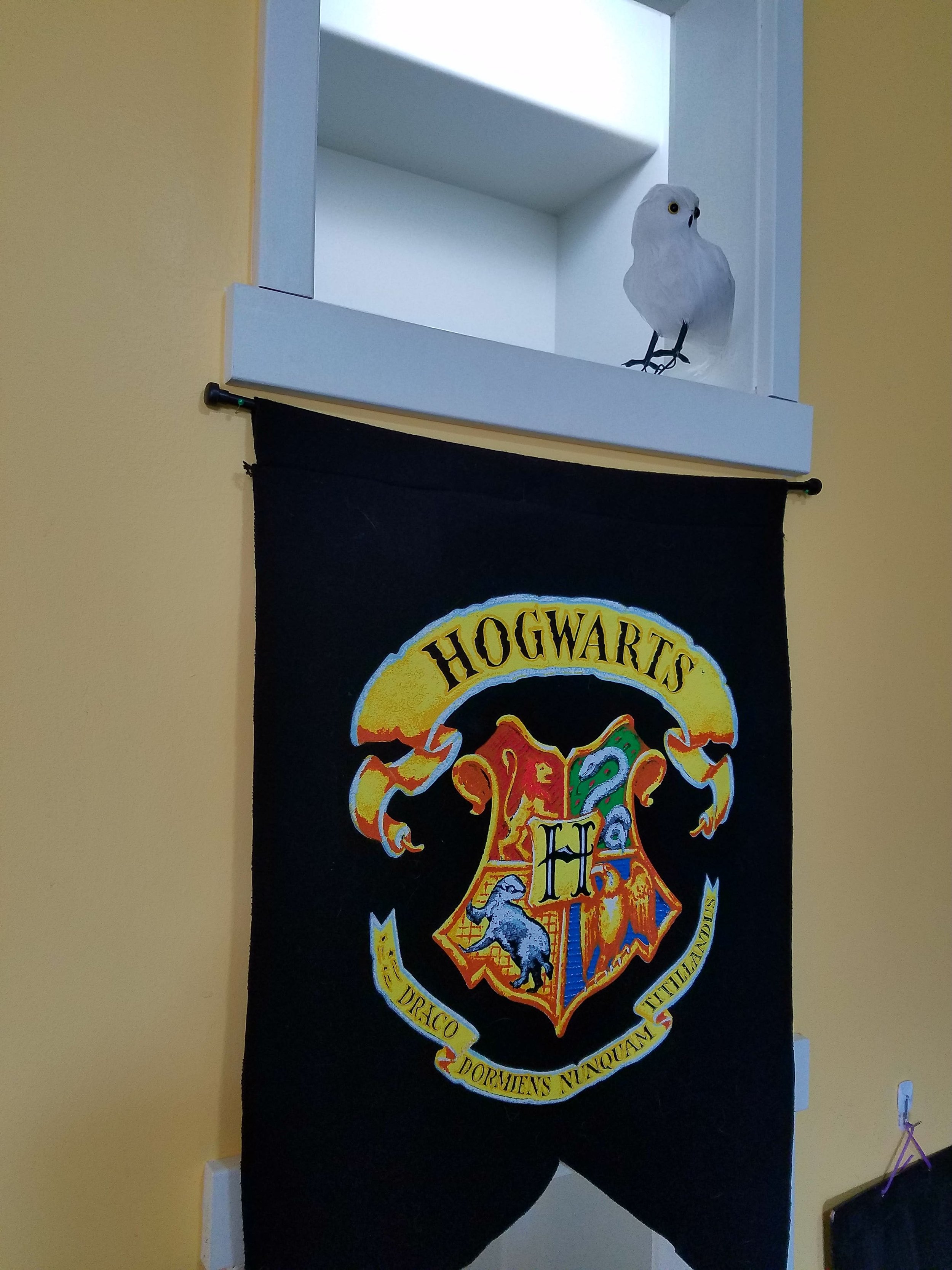 20170713_161224.jpg