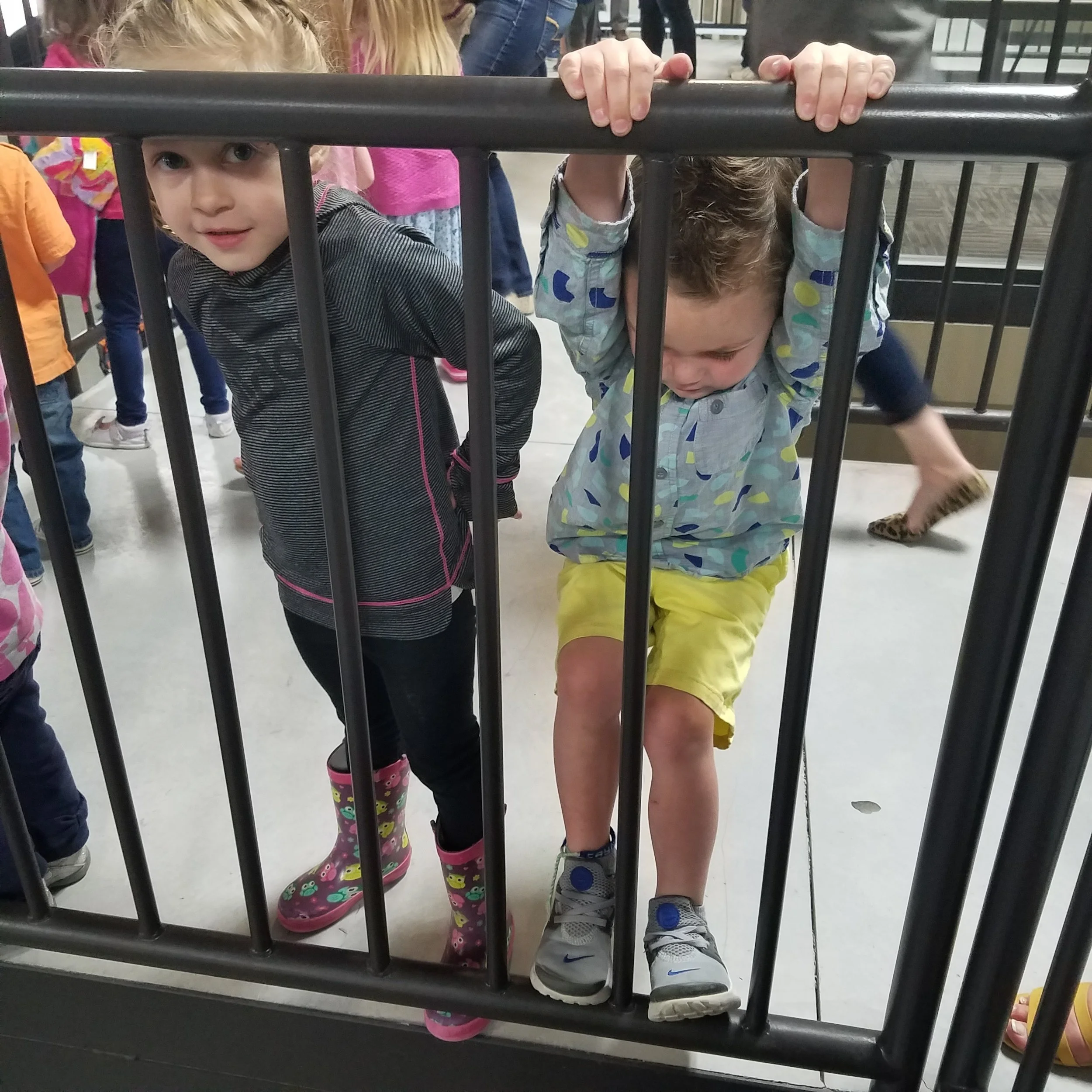 20180419_132811.jpg
