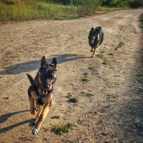 Brother and Sister, Kara and Odin