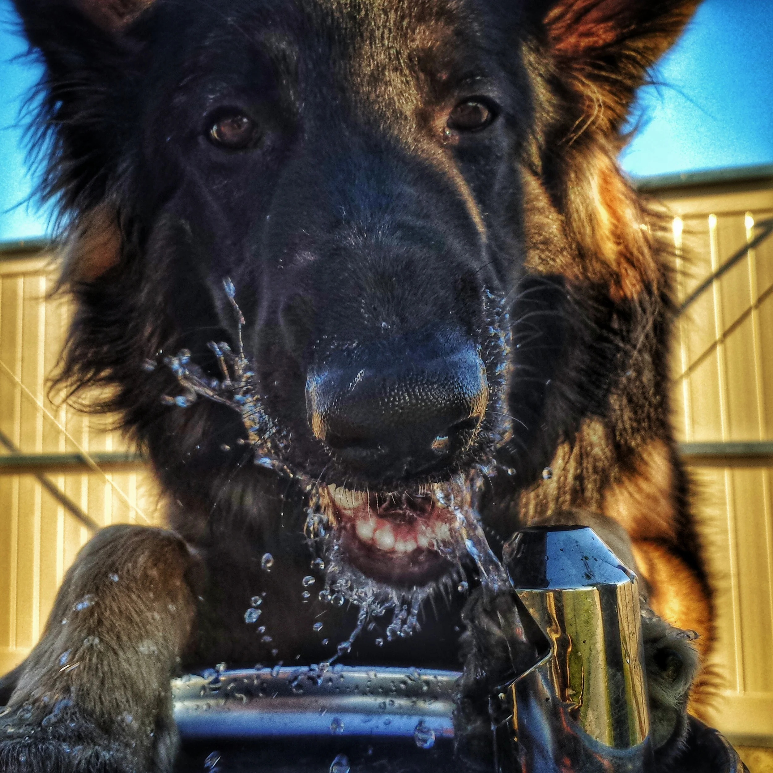 Water break.