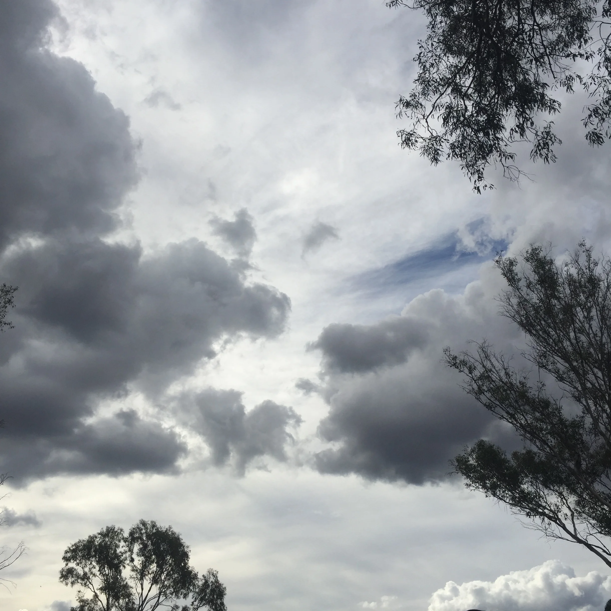 Diary of a wet removalist