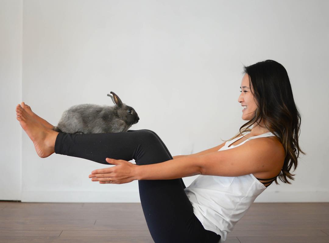 bunny — Blog - Cam Lee Yoga